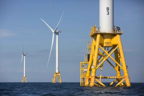Interior to hold auction for offshore wind power in NY, NJ