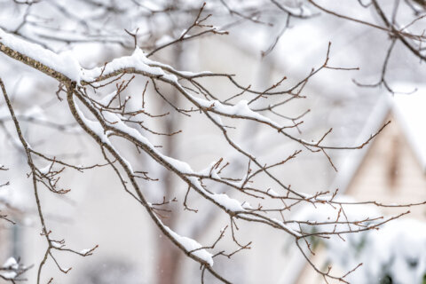 Reconsider travel plans: Snow, ice to affect DC region on Saturday