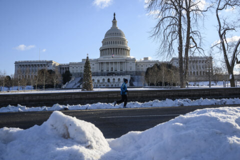 Will DC have a white Christmas this year?