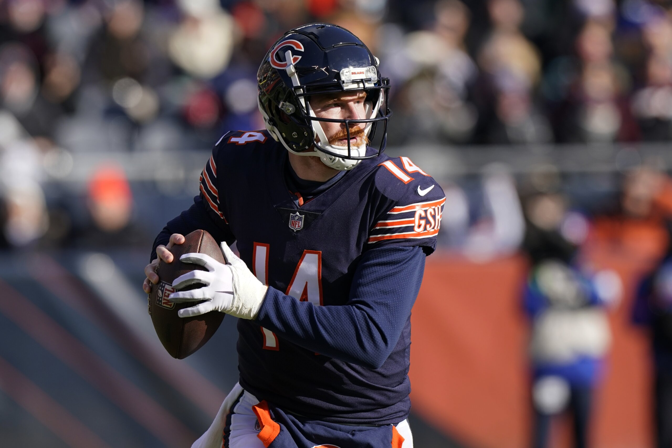 Bears rout Giants 29-3 in home finale