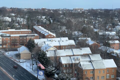 Snow coated the rooftops in Arlington, Virginia. (WTOP/Jessica Kronzer)