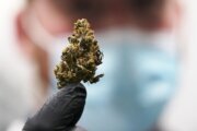 Study finds low interest, high prices in Va. medical marijuana program