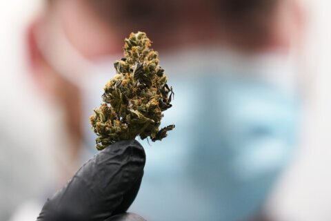 Recreational marijuana could arrive in Va. by September