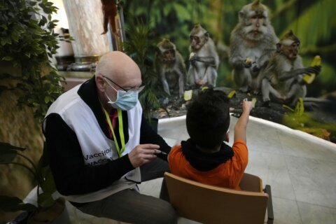 Monkey business: Antwerp zoo put kids at ease for virus jab