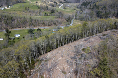 Regulators extend deadline for Mountain Valley Pipeline