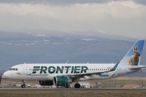 Frontier bids $2.9 billion for rival budget airline Spirit
