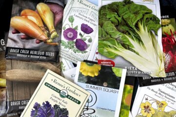 This image provided by Jessica Damiano shows a variety of seed packets in Glen Head, NY, on Jan. 27, 2022. (Jessica Damiano via AP)