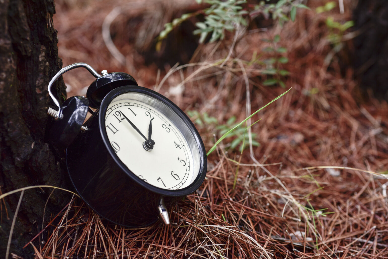 Maryland joins states moving toward yearround Daylight Saving Time