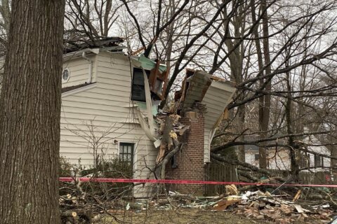 Crofton woman dead after tree crashes through home