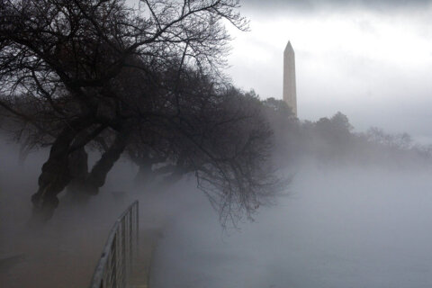 Strong winds, rain expected for DC area ahead of windy, chilly workweek