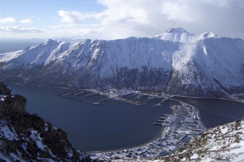 Appeals court reverses ruling halting Alaska refuge road