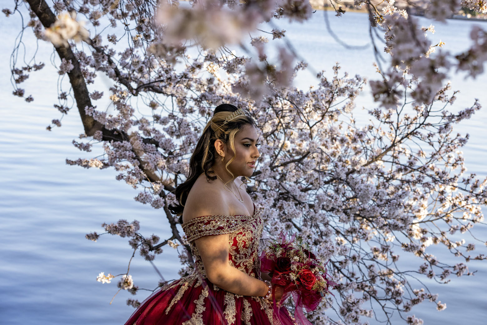 Washington Nationals on X: New Cherry Blossom photos just dropped. 🌸  #BloomDay  / X