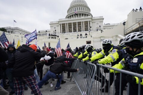 Man who waved Confederate flag pleads guilty in Capitol riot