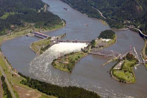 Contaminated Columbia River island added to Superfund list