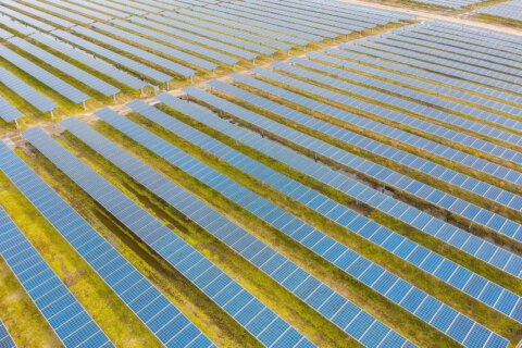 Virginia approves Dominion Energy solar expansion