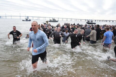 Maryland’s Polar Bear Plunge is back; plan ahead for traffic