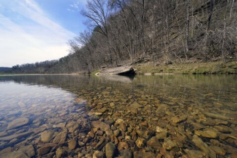 Tennessee community fights to save their ‘exceptional’ creek