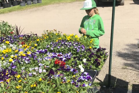 Want kids to love gardening? Give them a job, seeds, a pass