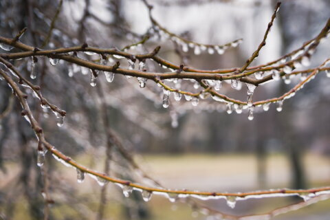 Freezing rain, icy roads possible in parts of Virginia and Maryland