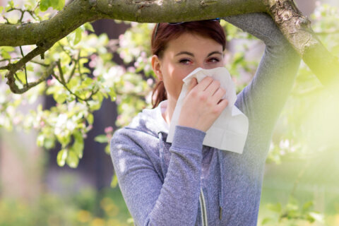 DC’s allergy season has lengthened by 20 days, study shows