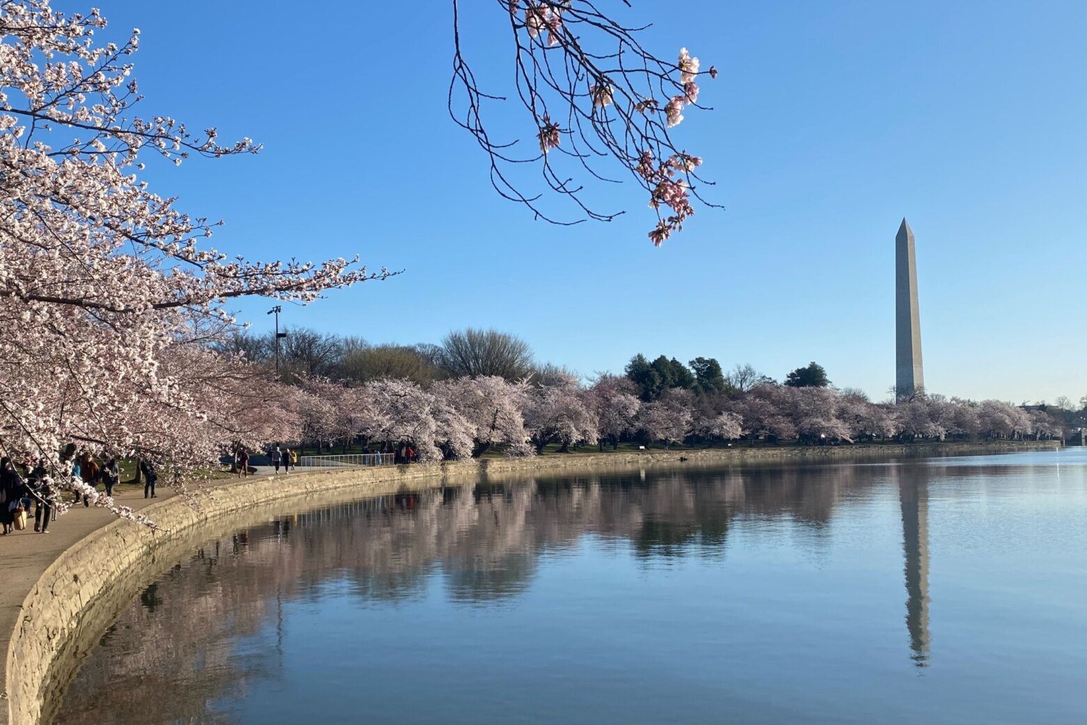 Upgrade for often-flooded Tidal Basin path is in the works - WTOP News