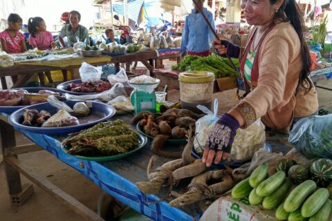 WWF report says online wildlife trade on rise in Myanmar