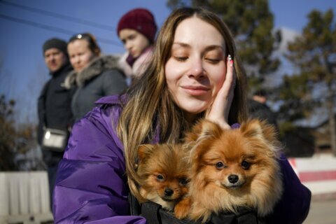 Makeshift shelter at Ukraine-Poland border takes in stranded pets