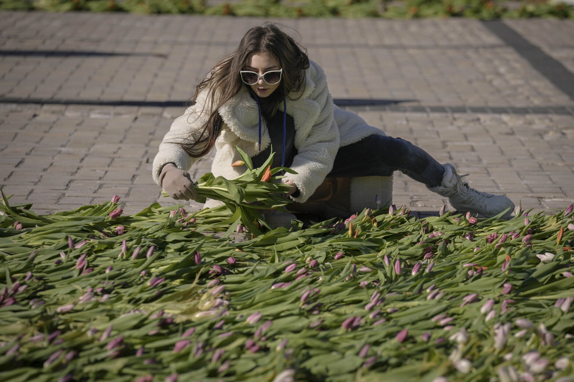 A woman arranges bunches of tulips on the pavement in Sophia square in Kyiv, Ukraine, Friday, March 18, 2022. (AP Photo/Vadim Ghirda)