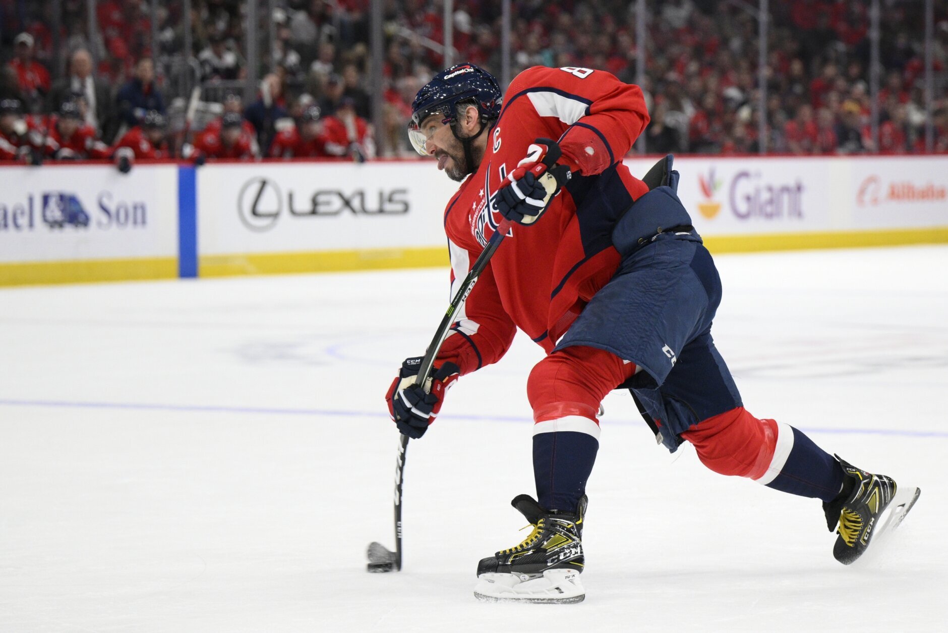 Capitals' 5-foot 7, 140-pound Matthew Phillips tops the list of