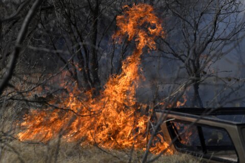 Firefighters hope to gain ground on Texas wildfires Saturday