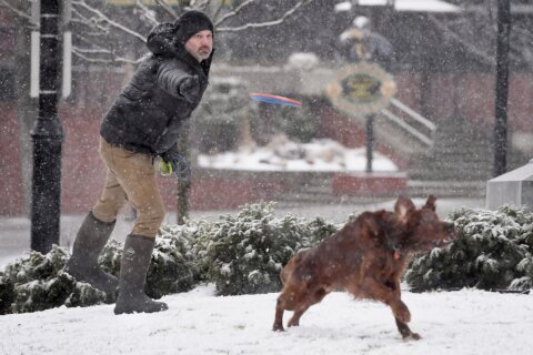 Late winter storm blasts South, Northeast with snow and wind