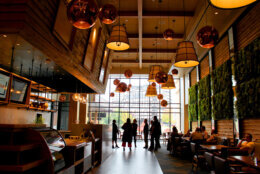 Isabella Eatery food hall at Tysons Galleria opens Dec. 11 - WTOP News