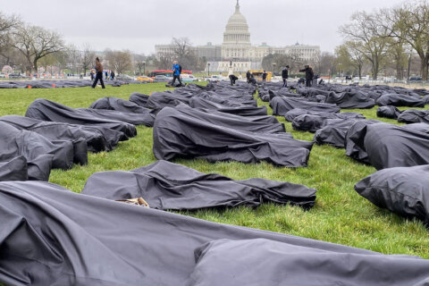 Why there are more than 1,000 body bags on the National Mall