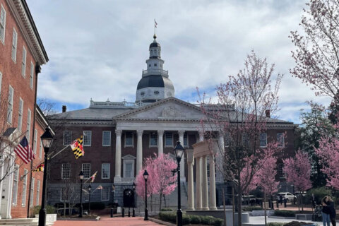 Ghost gun bans advance in the Maryland General Assembly, while House of Delegates passes abortion referendum bill