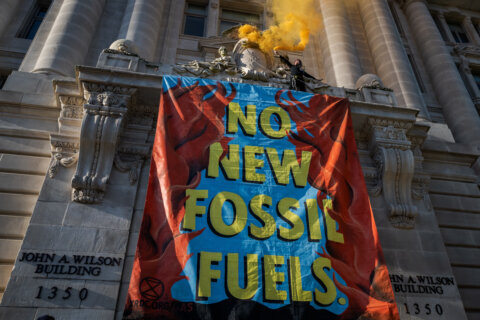 In photos: On Earth Day, DC climate activists make urgent plea for action