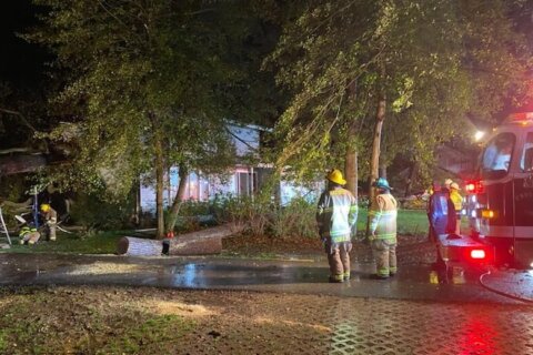1 dead, 1 injured after tree falls on Anne Arundel Co. family home