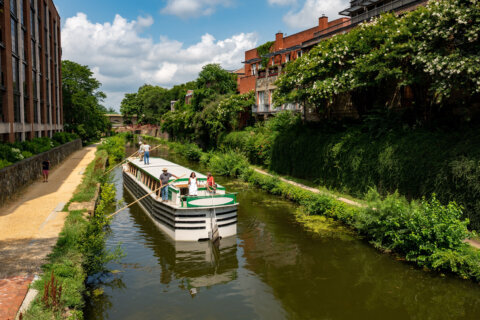 For 1st time in a decade, C&O Canal boat tours return to Georgetown