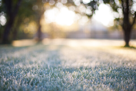 Morning frost precedes warm afternoon for DC region