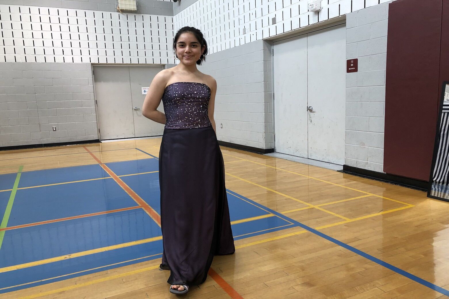 Project Prom Dress' brings free gowns ...