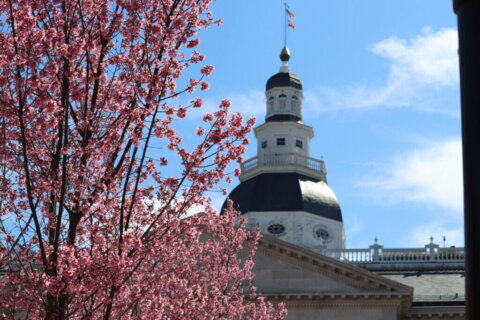 Maryland LCV Scorecard: Green group found a lot to like in recent legislative session
