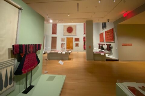 Indian fabrics, ancient and advanced, on display at DC museum