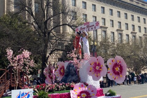 Cherry Blossom Festival Parade returns to DC after 3-year hibernation