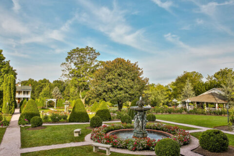 Maryland, Virginia hotels recognized for magnificent gardens