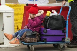 Milana Gudkovskaya, 3, sits on a trolley after fleeing the war from neighbouring Ukraine at the border crossing in Medyka, southeastern Poland, Wednesday, April 6, 2022. (AP Photo/Sergei Grits)