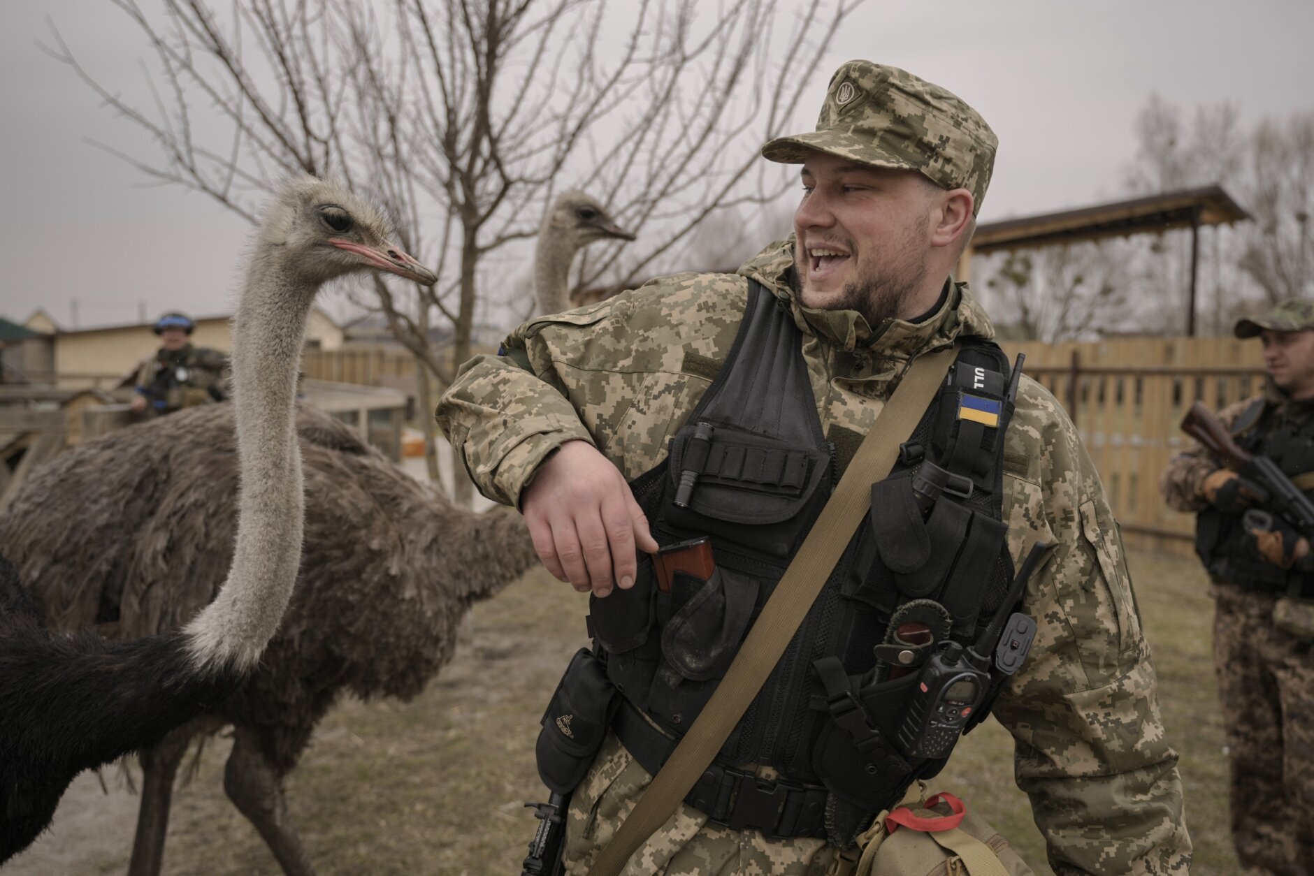 A Ukrainian serviceman tries to avoid being bitten by an ostrich at a heavily damaged private zoo as soldiers and volunteers attempted to evacuate the surviving animals to safety in the village of Yasnohorodka, on the outskirts of Kyiv, Ukraine, Wednesday, March 30, 2022. The evacuation was halted before completion as shelling resumed between Russian and Ukrainian forces in the area.(AP Photo/Vadim Ghirda)