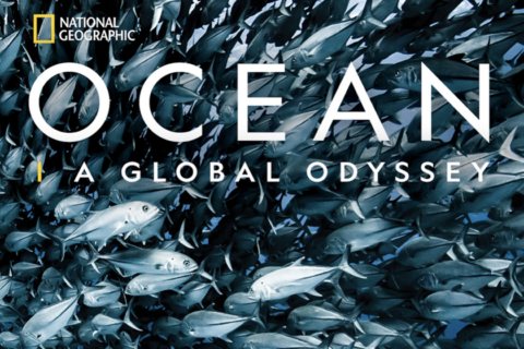 Celebrate Earth Day with new National Geographic book ‘Ocean: A Global Odyssey’