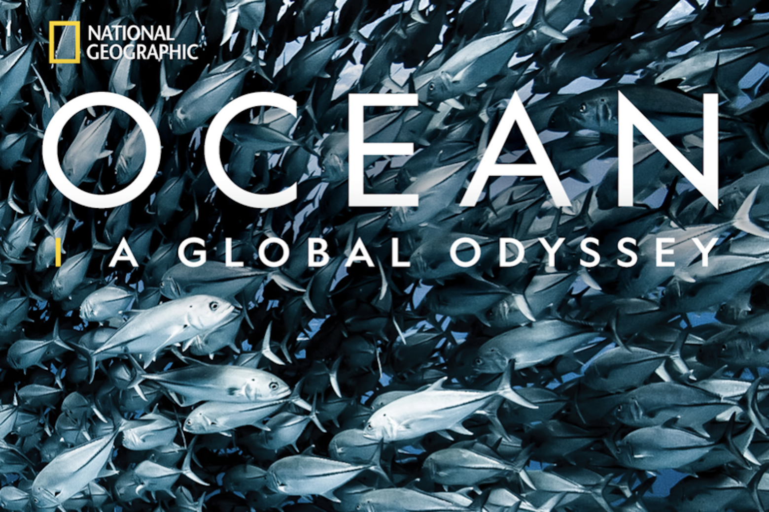 Celebrate Earth Day with new National Geographic book 'Ocean: A Global  Odyssey' | WTOP News