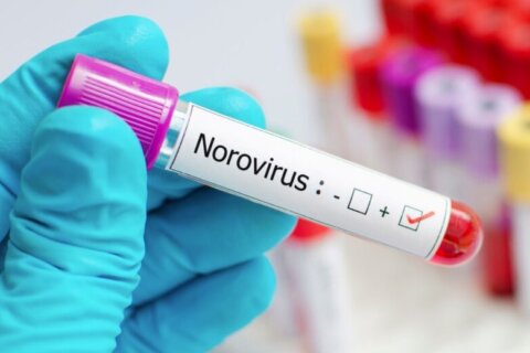 Nasty norovirus making kids, teens sick in DC region