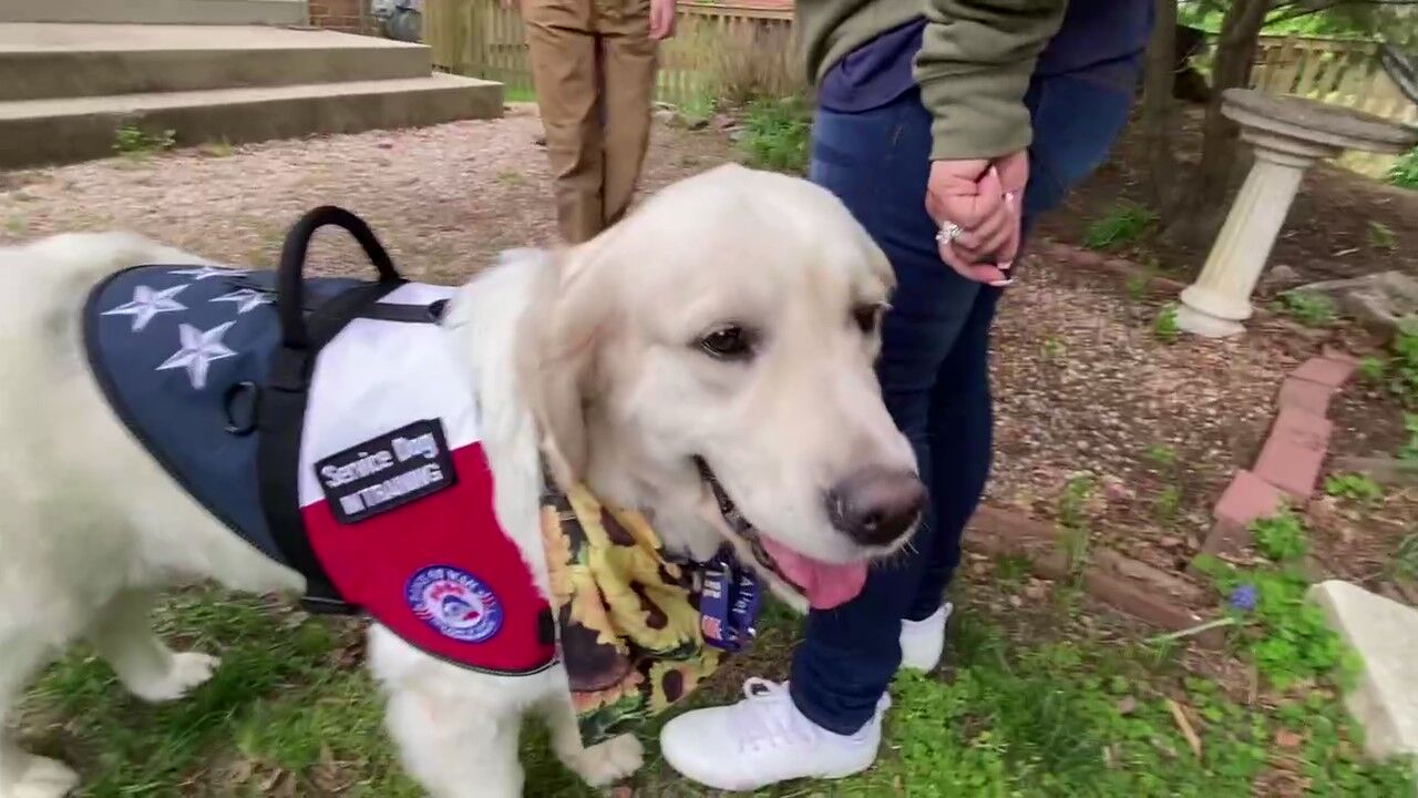 Child with autism welcomes new service dog - WTOP News