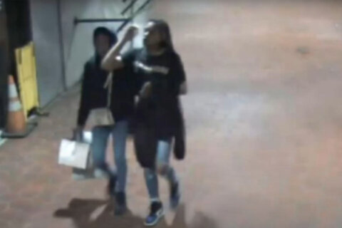 Woman attacked, sprayed with bleach in random assault at Wheaton Mall, police say